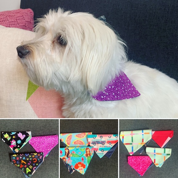 Meet your Posher, Stephanie - Picture 6 of 7